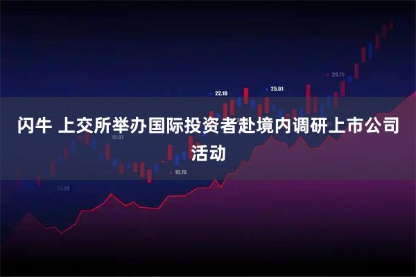 闪牛 上交所举办国际投资者赴境内调研上市公司活动