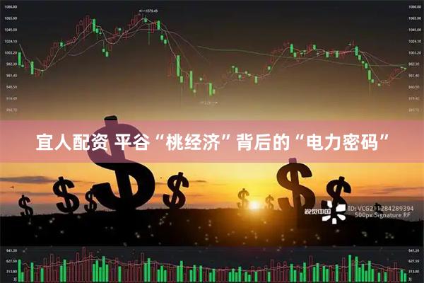 宜人配资 平谷“桃经济”背后的“电力密码”
