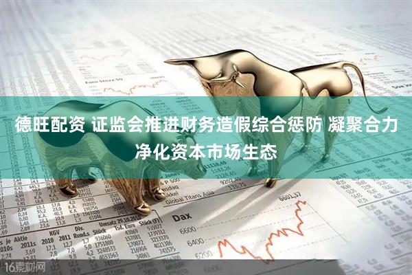德旺配资 证监会推进财务造假综合惩防 凝聚合力净化资本市场生态